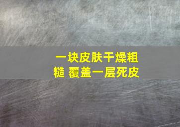 一块皮肤干燥粗糙 覆盖一层死皮